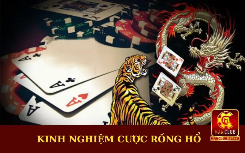 thu-thuat-choi-rong-ho Rồng Hổ - Manclub Chia Sẻ Luật Chơi, Kinh Nghiệm Chi Tiết